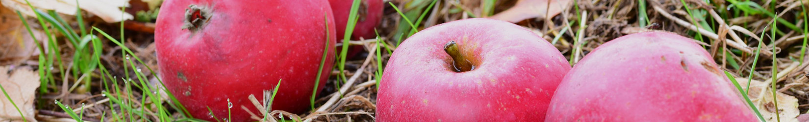produzione secchi in plastica per vernici
